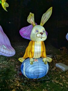 A magical night out at Land of Lights, Warrington 8 1000001438