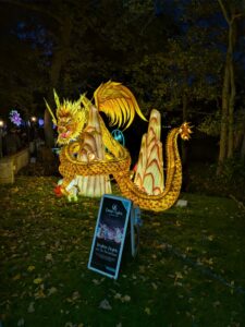 A magical night out at Land of Lights, Warrington 2 1000001441