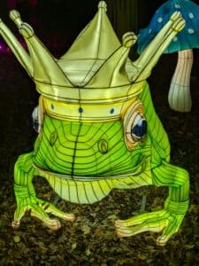 PXL 20251025 175837866