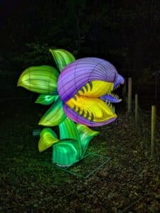 PXL 20251025 180240529.MP 1