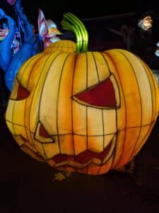 PXL 20251025 180552478 1